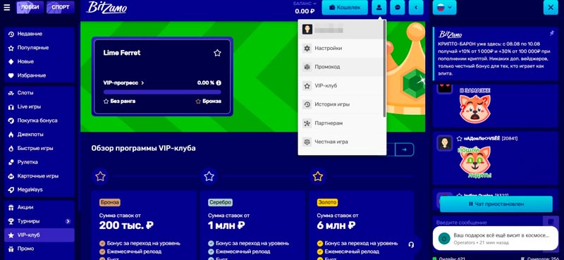 Промокоды в Bitzamo